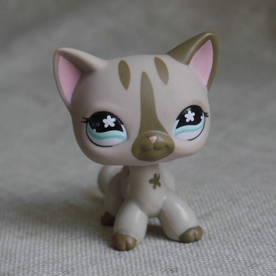 lps shorthair 468